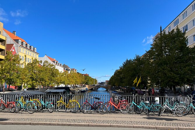 Bike Tour Copenhagen. Private Guide, Concierge Service, Small Grp - Royal Danish Theatre’s Birdbox mosaic and why it gets that name