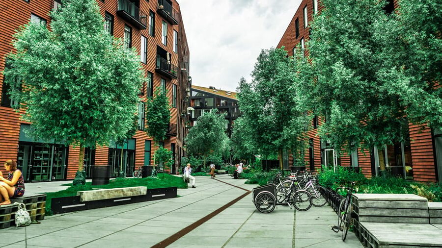 Copenhagen: 1.5-hour Private Walking Tour of Christianshavn - Price and time: paying for a private 90-minute lens