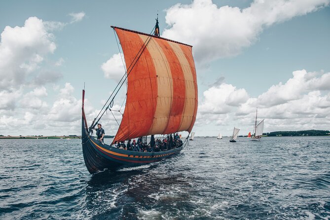 Copenhagen Card - DISCOVER 80+ attractions and public transport - Day trips with real payoff: Roskilde and Viking-age history