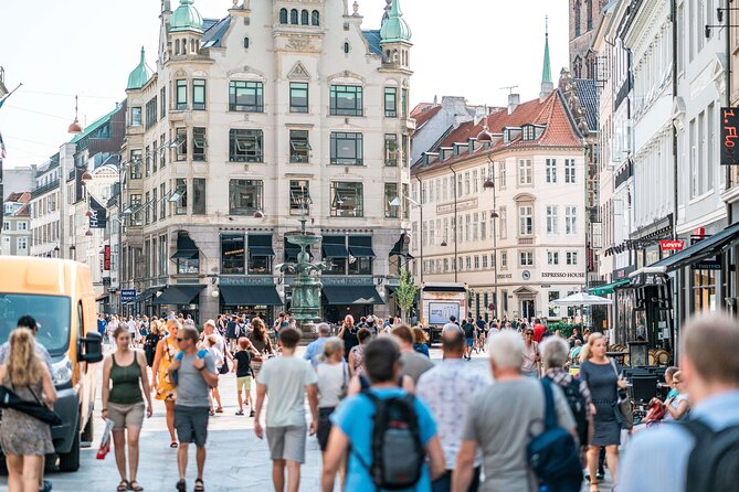 Copenhagen & Christiansborg Palace Private Walking Tour - Entering Christiansborg Palace: the included hour that matters most