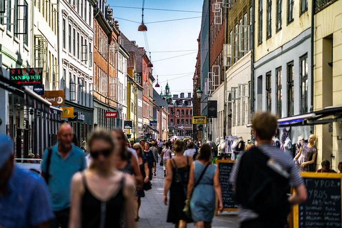 Copenhagen City Private Walking Tour - Christiansborg Slot: Denmark’s palace island and where politics happens