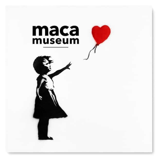 Copenhagen: MACA Art Museum Entry Ticket - Key things that make this MACA ticket worth your time