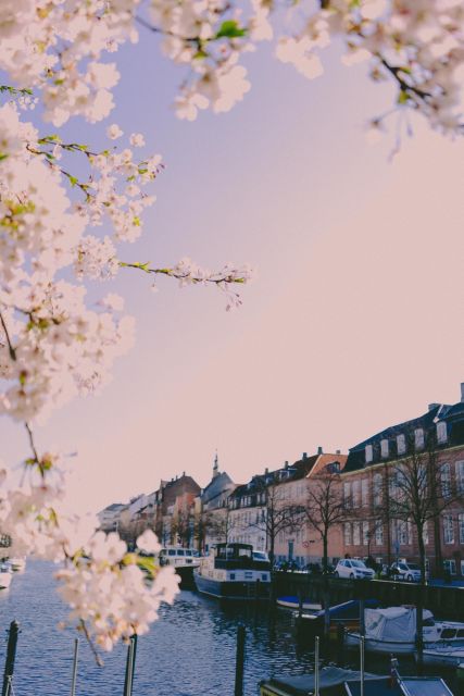 Copenhagen Private 3h biking tour - Price and Value for a Small-Group Private Tour