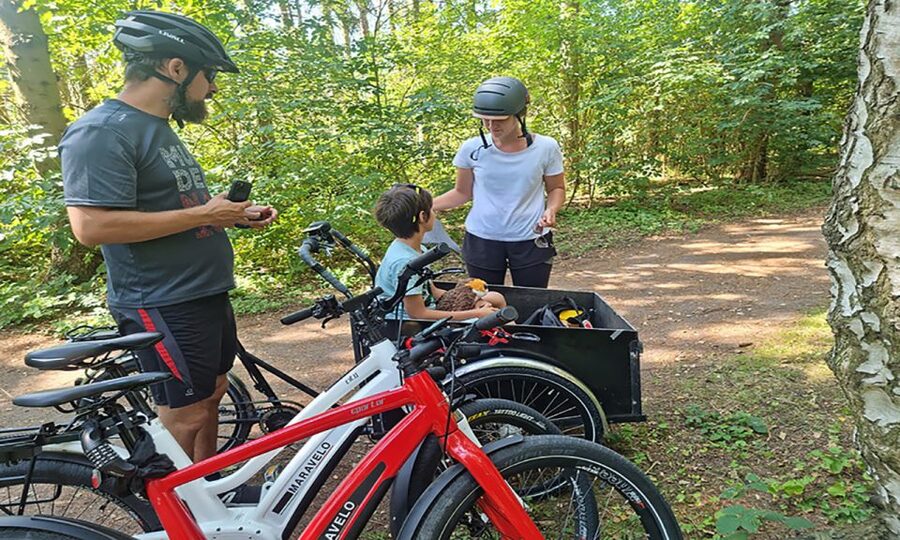 Copenhagen: Private Forgotten Giants E-Bike Treasure Hunt - Finding Sleeping Louis, Little Tilde, Thomas on the Mountain, and Teddy Friendly