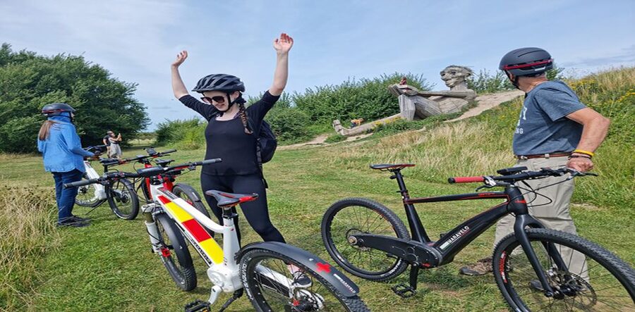Copenhagen: Private Forgotten Giants E-Bike Treasure Hunt - Price and Value: What $213 Gets You (and Why It Isn’t Just a Bike Rental)