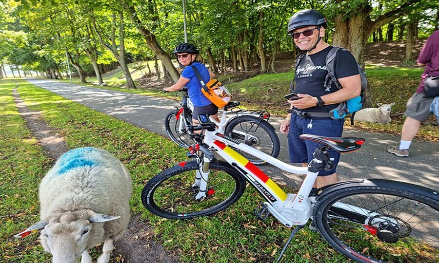Copenhagen: Private Forgotten Giants E-Bike Treasure Hunt - Who This Tour Fits Best (and Who Should Skip It)