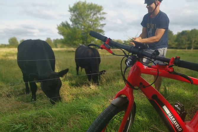 E-biking Central Forgotten Giants' s Adventure - Getting ready at Bådehavnsgade: e-bike setup, safety, and who this suits