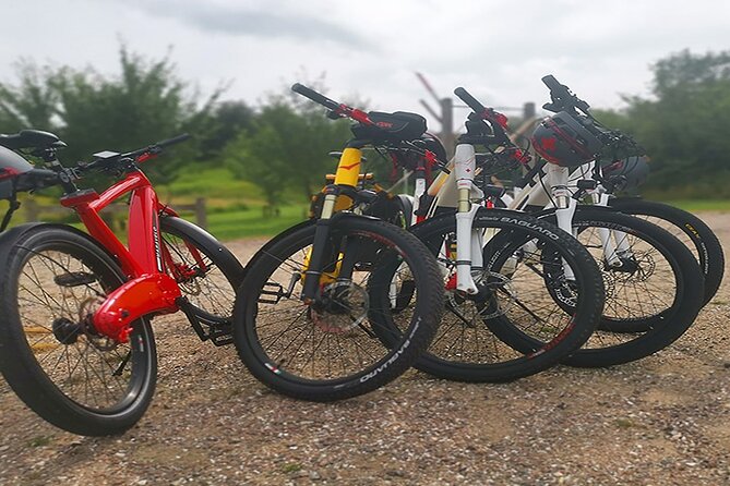E-biking Northern Forgotten Giants' s Adventure - Thomas Dambo’s recycled-wood giants: what the art is really about
