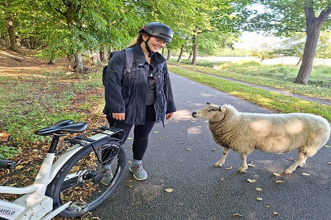 E-biking Northern Forgotten Giants' s Adventure - Price and value: what $209 buys in Copenhagen