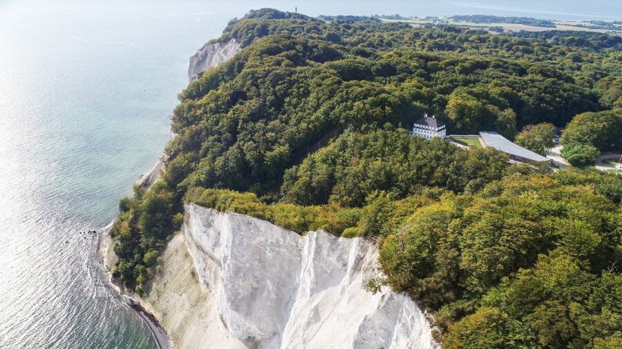 From Copenhagen: Round-Trip to Møns Klint and Forest Tower - Key highlights worth your attention