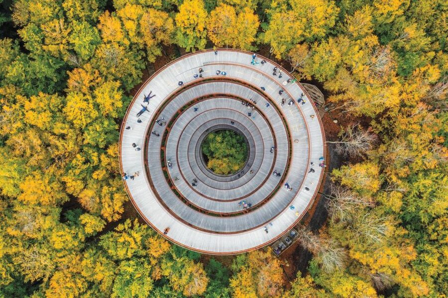 From Copenhagen: Round-Trip to Møns Klint and Forest Tower - Dronning Alexandrines Bro: a quick break with a strong photo payoff