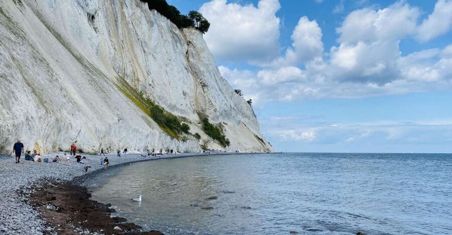 From Copenhagen: Round-Trip to Møns Klint and Forest Tower - Møns Klint: UNESCO cliffs, 70 million years, and the 500-step reality check