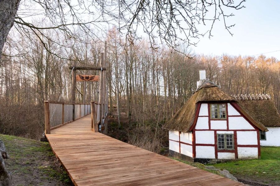 From Copenhagen: Round-Trip to Møns Klint and Forest Tower - Lunch at Café Møns Klint: a short reset, not a food mission