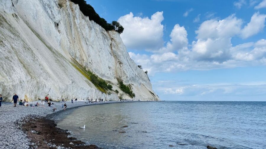 From Copenhagen: Round-Trip to Møns Klint and Forest Tower - What to bring so the cliffs don’t beat you