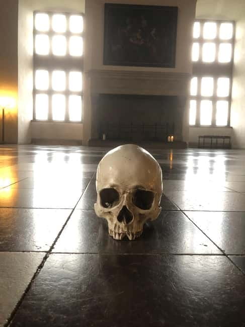Full-Day Tour; Castle, Palace, Cathedral and Viking Ships - A day that links Shakespeare, Vikings, and Danish kings