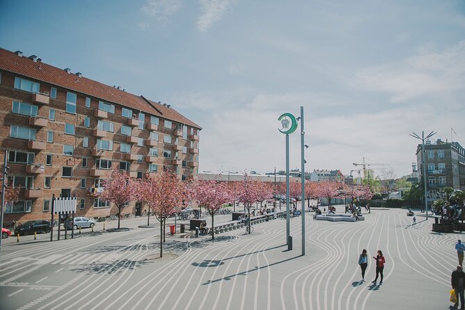 Nørrebro Neighborhood Tour - Key points before you go