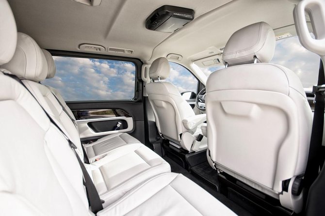 Private Luxury Van Departure from Copenhagen to Copenhagen Port - Who should book this, and who should consider alternatives