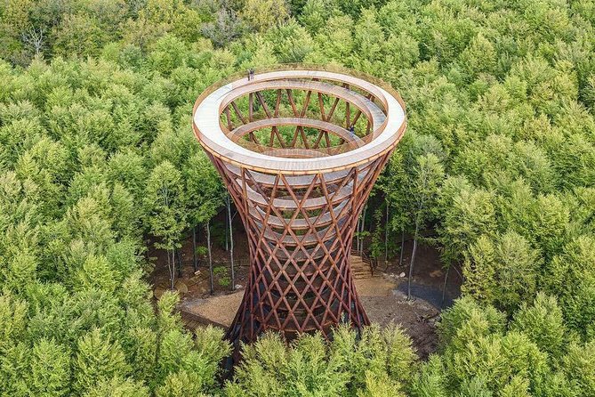 The Forest Tower and Forgotten Giants-A day tour from Copenhagen - Forest Tower and Forgotten Giants: the quick hit